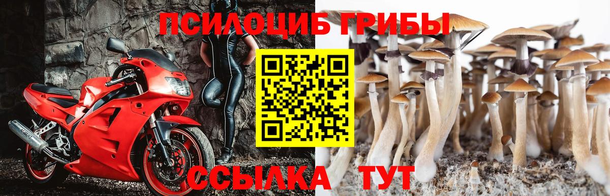 Подольск  Галлюциногенные грибы MAGIC MUSHROOMS  Вход с VPN 